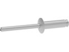GIS-Pro Niet 4.8 x 27mm 461.701.00.1 Pack à 250 Stück - Geberit-GIS