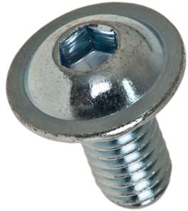 30104 Linsenschrauben mit Flansch
