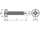 Linsen-Blechschr Phil+Spitze A2 BN695 DIN7981C 4,2x19 - Bossard Schrauben