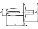Spreizniete Polyamid schwarz BN31315 6 x 10 - Bossard Schrauben