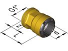 Übergang mit AG flachdichtend d 22 mm - 1" 9820S.2211 - SudoFIT-Formstücke