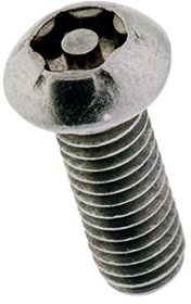 33021 Einbruchsichere Schrauben
