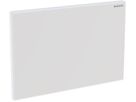 Abdeckplatte Kunststoff glanzverchr. 616.222.21.1 zu Hygienespülung - Geberit Systemventile / Armaturen
