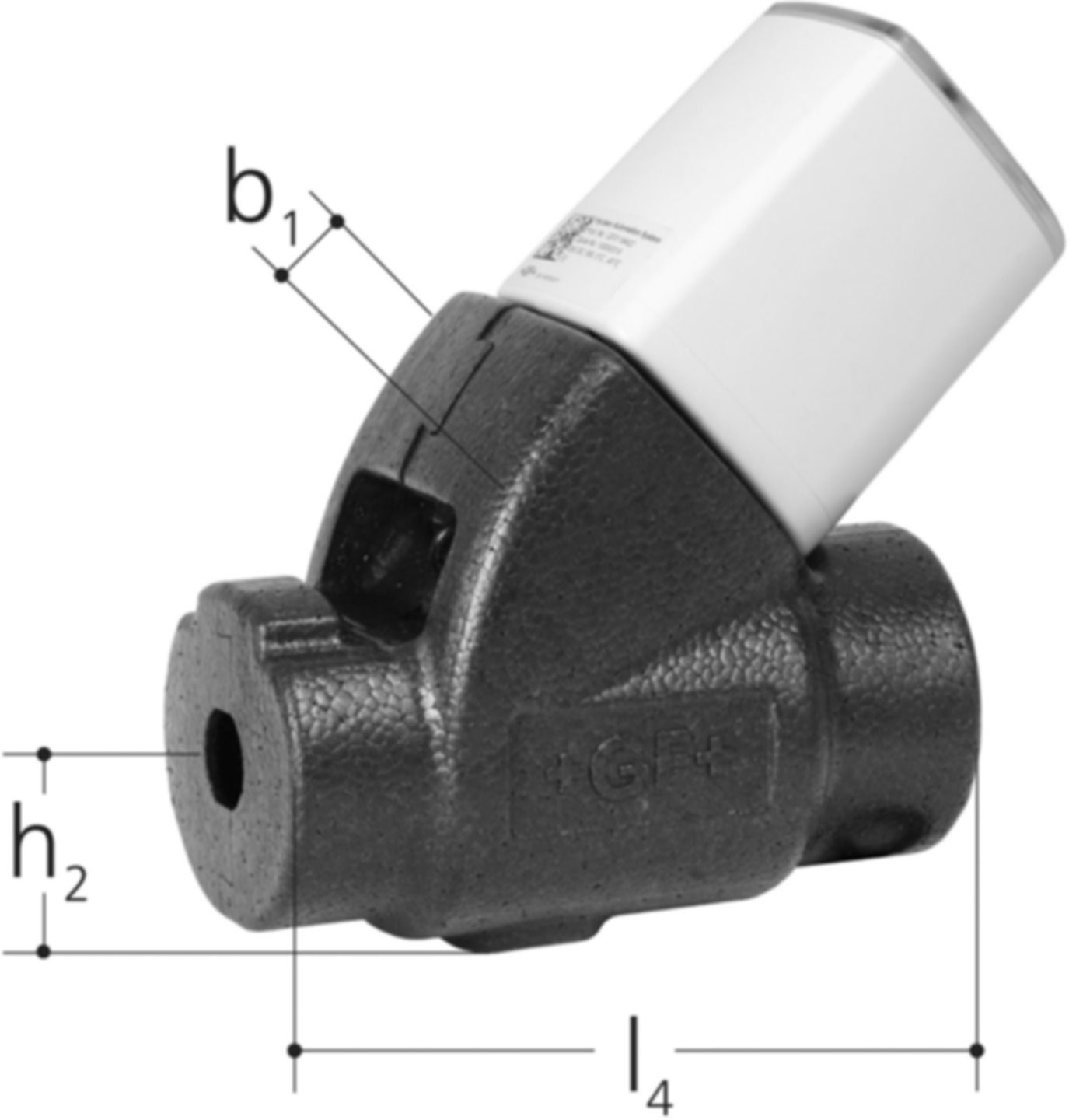 Hycleen LegioTherm 2T Zirkulationsventil mit Controller DN15 G 3/4" 9910.015 - JRG Armaturen