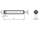 Gew Stifte I-6kt Ringschn INOX A4 BN4721 ISO4029 M 2,5 x 16 - Bossard Schrauben